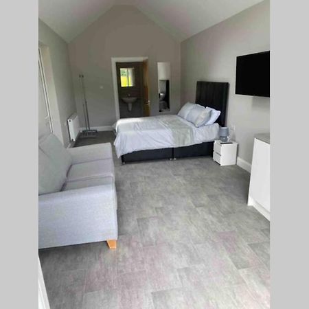 The Forest Chalet - Stunning Studio Apartment バリーキャッスル エクステリア 写真